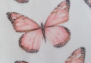 Láminas Comestibles